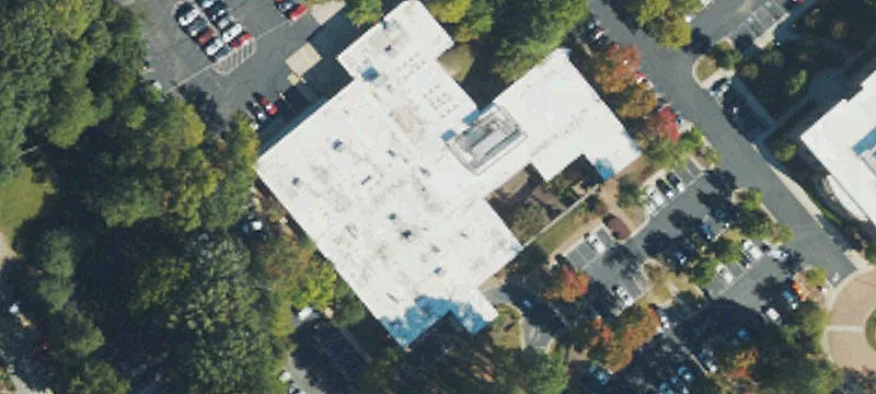 Office Space with Treetop Views