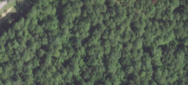 50 Acres I-10 Frontage Land