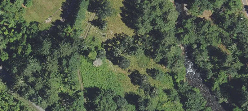 120 Acres Near Abiqua Creek