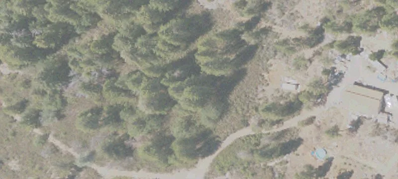 Whispering Pines Land Assemblage