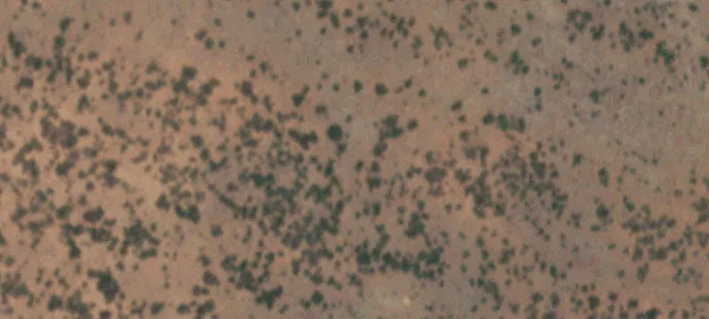 324 Acres of Grazing Land