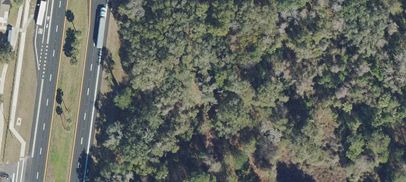 73 Acres Near Paynes Prairie