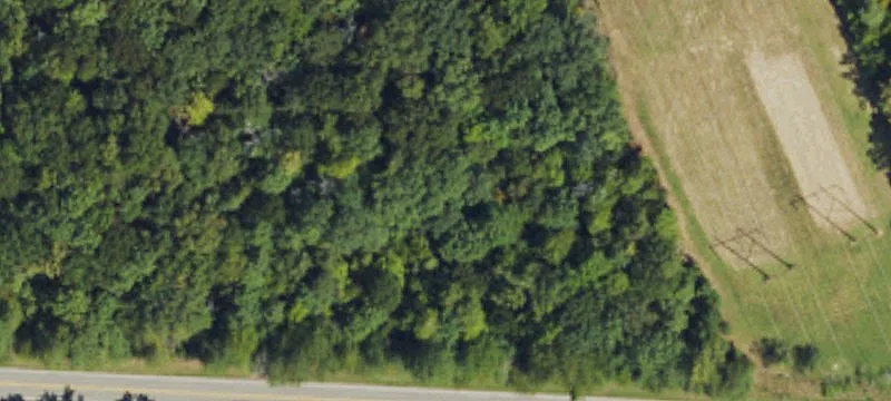 Private Wooded Lot For Sale