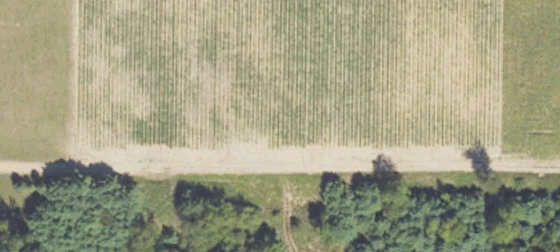 Commercial Land in High-Traffic Area