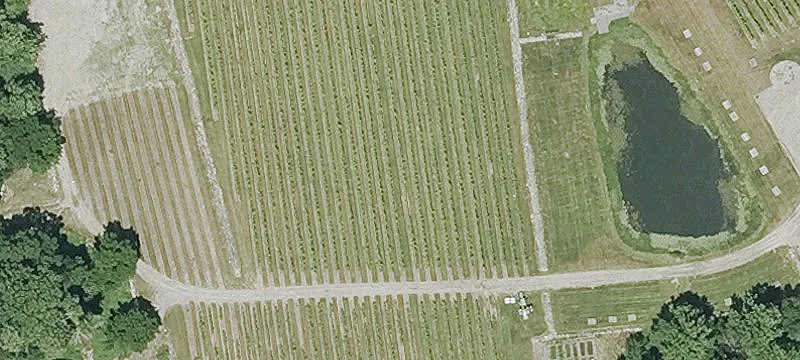 Picturesque Vineyard Property For Sale