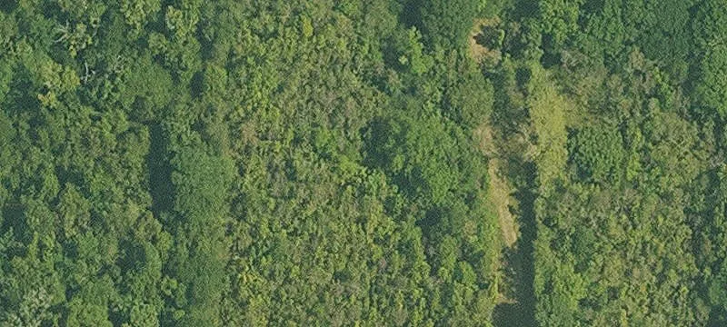 Unattended Farmland in Zachary