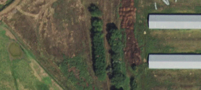 Versatile Property with Agricultural Potential