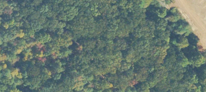 8.63 Acre Development Site