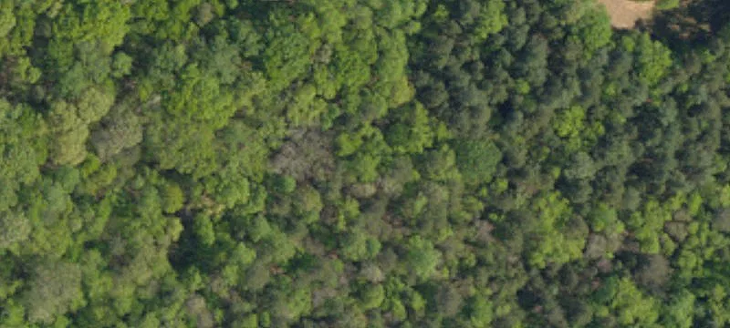 Commercial Land in Indian Land