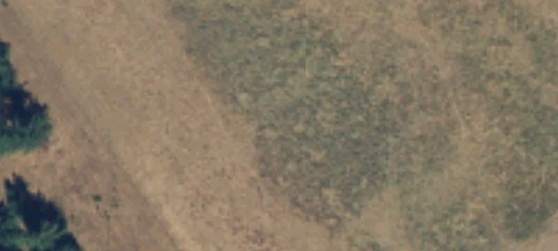Thurston County Ranch with Resources