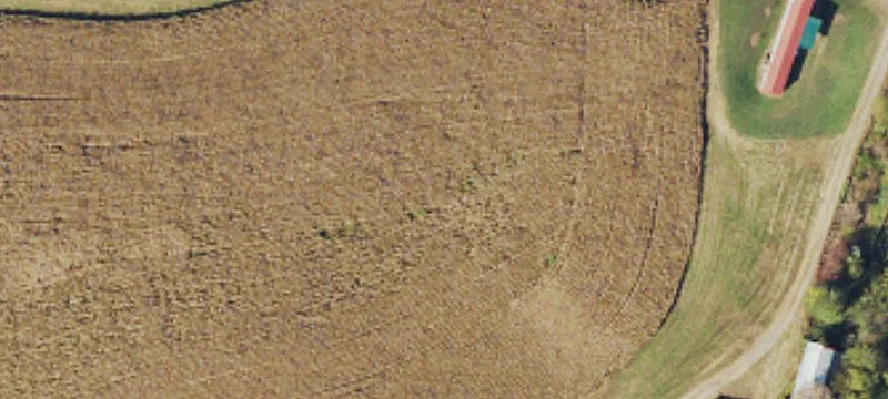 Productive Farm with Commercial Potential