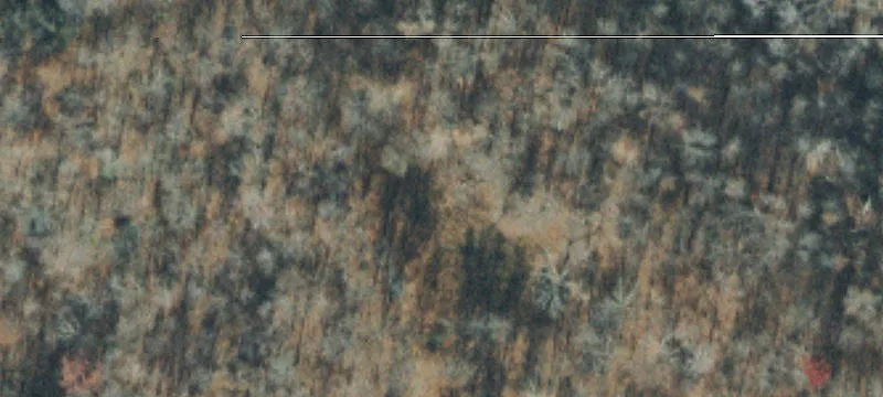 710 Acres in Maury County