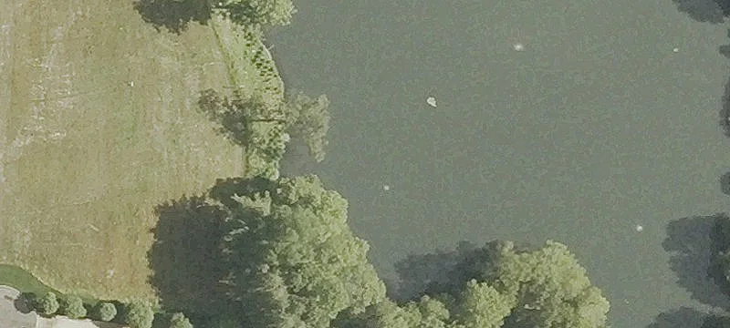 9.3 Acres Overlooking Closes Pond