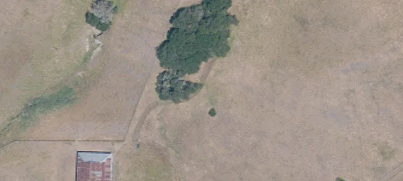 Pristine 80 Acres with Views