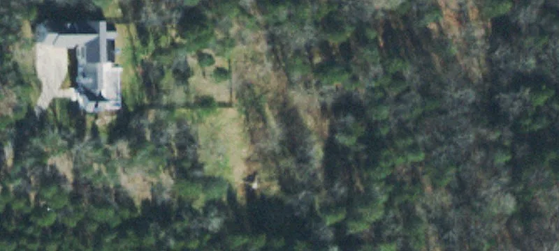 22 Acre Leipers Fork Property