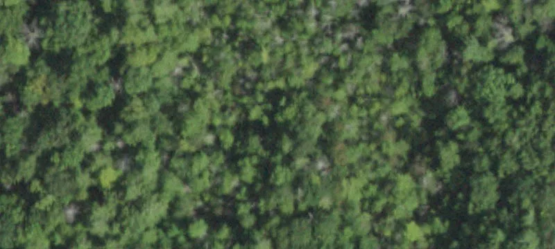 276.8 Acres Development Opportunity