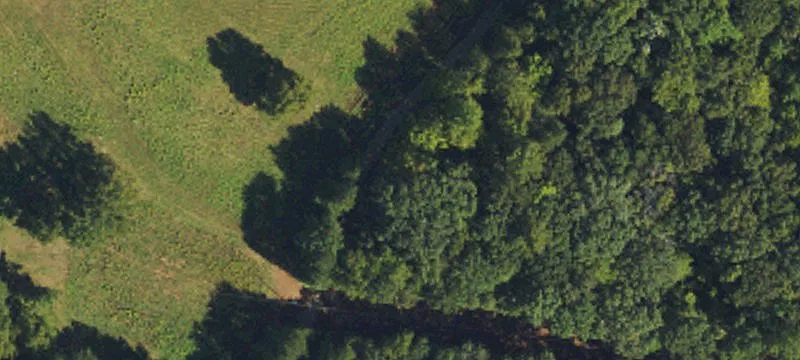 Pristine Wooded Acreage Near Hillsborough
