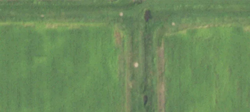 Hockley Acreage with Pond