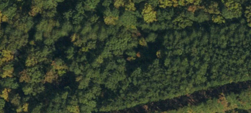 Undeveloped Land Near White Oak