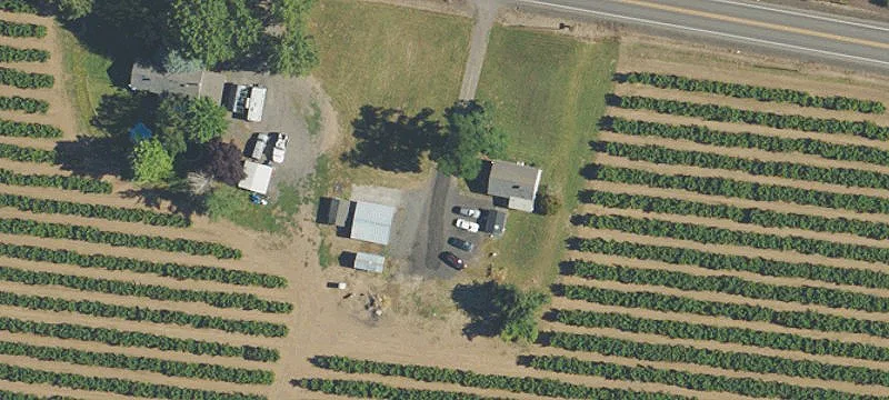 Productive Hazelnut Farm with Water Rights