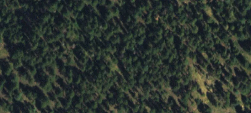 Conifer Heights Development Opportunity