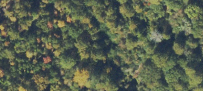 168+ Acre Rockdale County Land