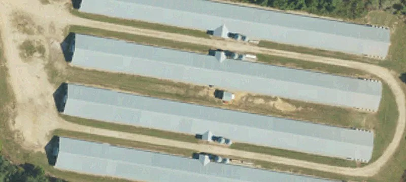 Turnkey Poultry Farm For Sale