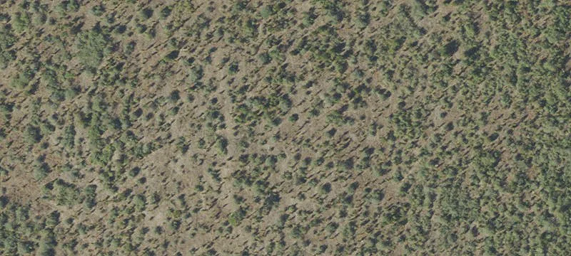 Highway 231 Land Opportunity