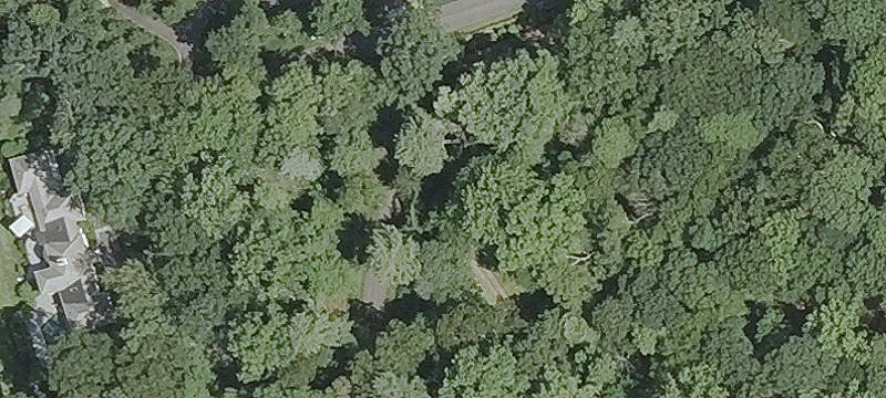 Residential Land in Tranquil Neighborhood