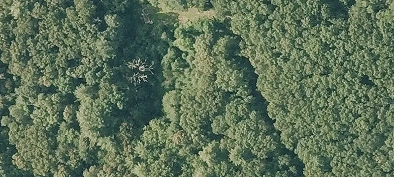 Sherborn Estate Building Opportunity