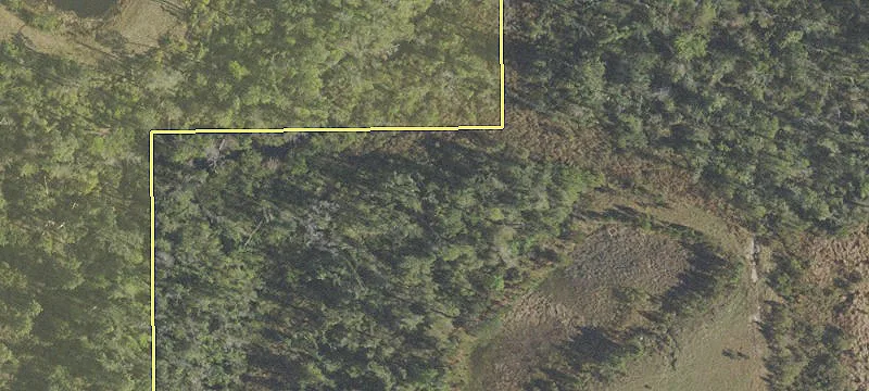 Highway 231 Cleared Development Site