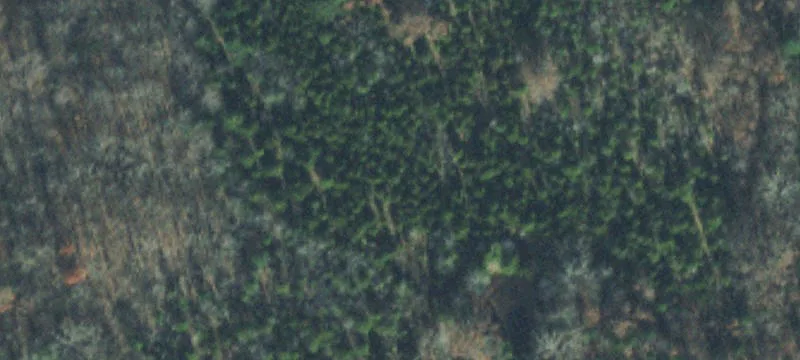 23 Acre Lot Near I-840