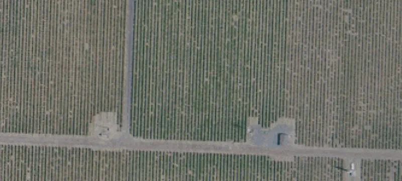 Healdsburg Vineyard Estate Opportunity