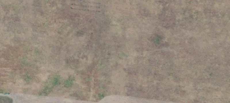 Sonoma Estate Parcel with Olive Trees