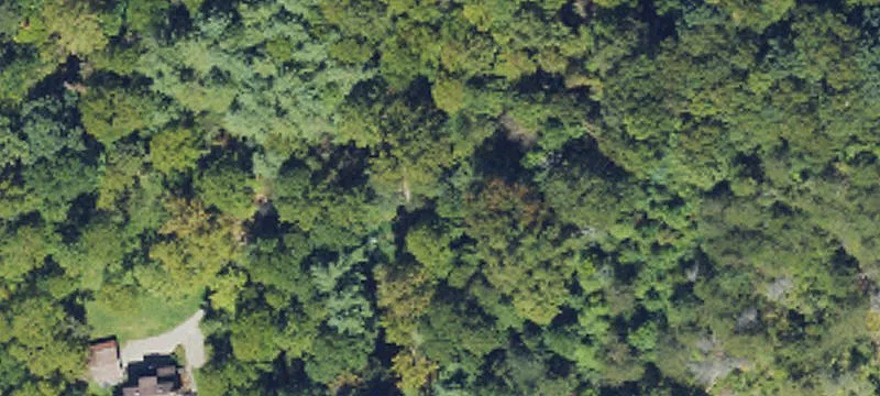 Haywood County Mountain Paradise