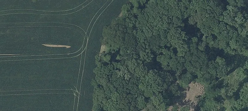 98 Acres Bordering Conservation Area