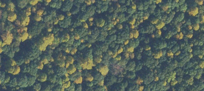 Prime Residential Land Opportunity