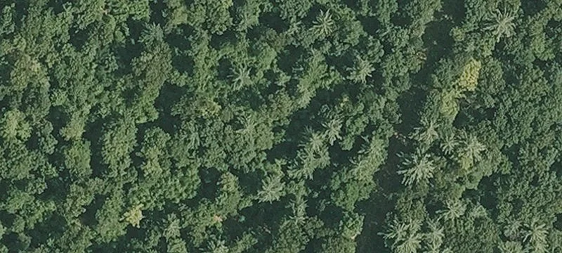 79 Acres of Development Land