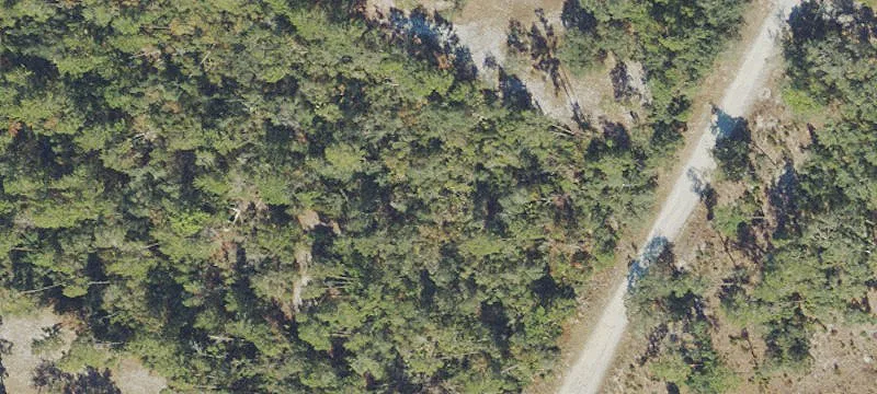 Seminole Estates Vacant Land Parcel