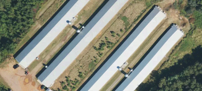 Turnkey Poultry Farm on 20 Acres