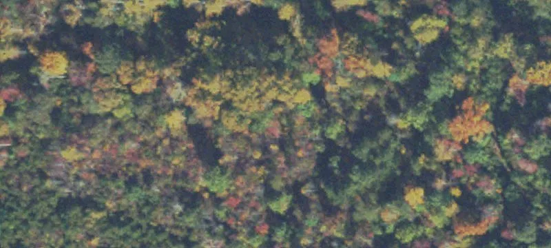66.53 Acres of Pasture Land