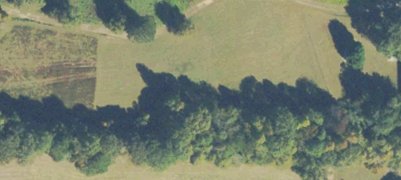 41.67 Acres with Pond