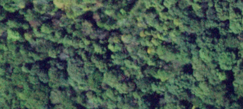 20+ Acre Goshen Parcel