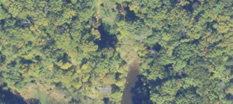 Wooded Land on Prince William Pkwy