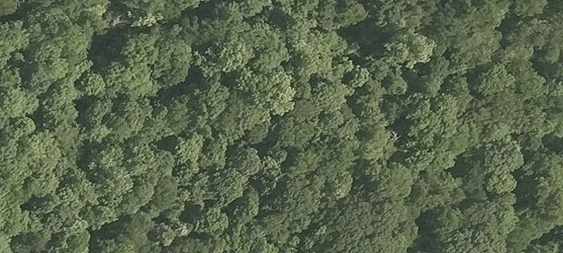 53-Acre Parcel for Farm/Home