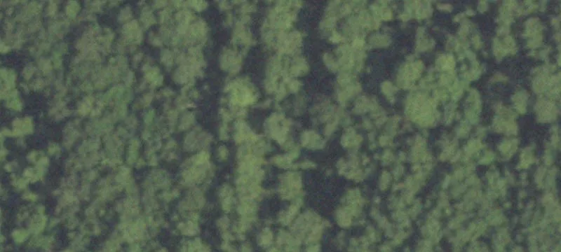 New Caney Agricultural Land