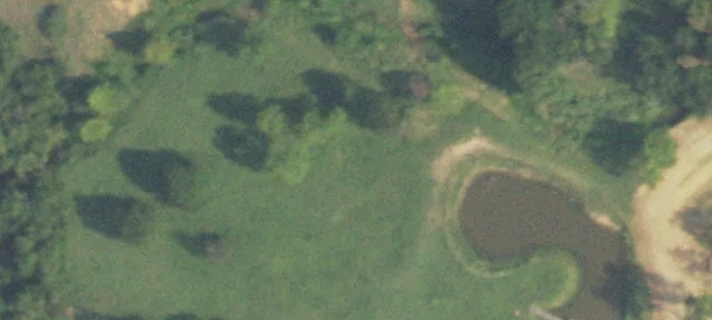 Scenic Texas Land with Pond