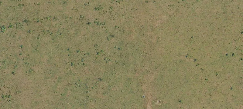 Estacada Timberland Opportunity