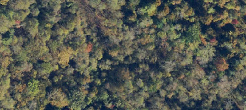 55+ Acre Development Opportunity