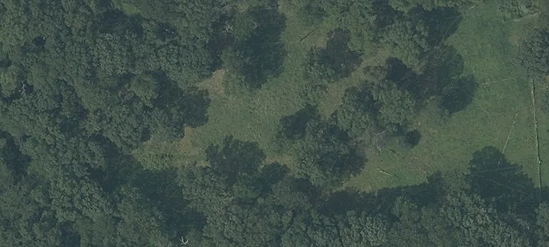 Versatile Land with Income Potential